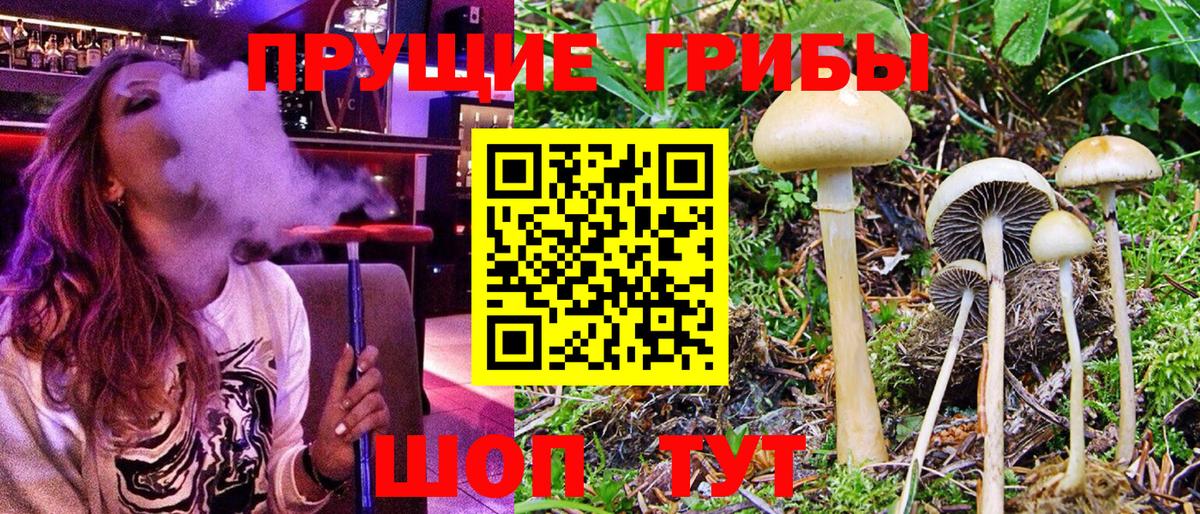 Псилоцибиновые грибы MAGIC MUSHROOMS  Вход с VPN  Печора 